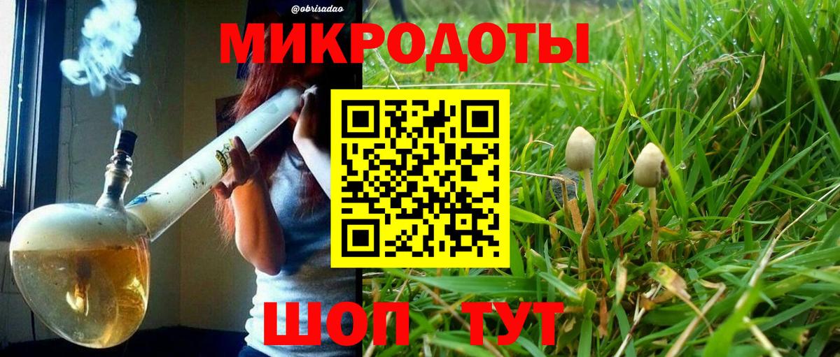 Псилоцибиновые грибы Psilocybe  наркотики  Вязьма  Вход с VPN 