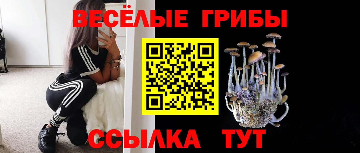Псилоцибиновые грибы Magic Shrooms Вязьма